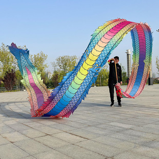 舞龙彩带中国风6米广场舞8健身彩带成人款运动健身带龙头传统舞龙