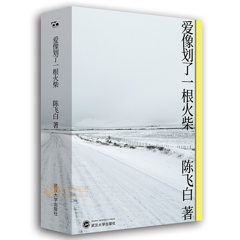 爱像划了一根火柴 黄建树 个关于禁忌之爱毁灭与拯救的故事 青春言情小说 武汉大学出版社