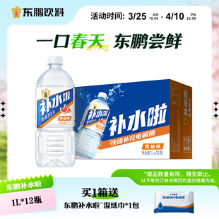 12瓶运动健身补充水分畅享装 饮品 东鹏补水啦电解质水饮料