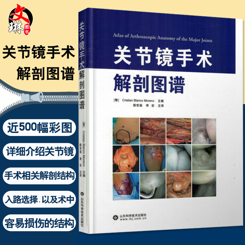 正版关节镜手术解剖图谱 500幅彩色图片涵盖人体各大关节陈世益李宏主译山东科学技术出版社9787533189181