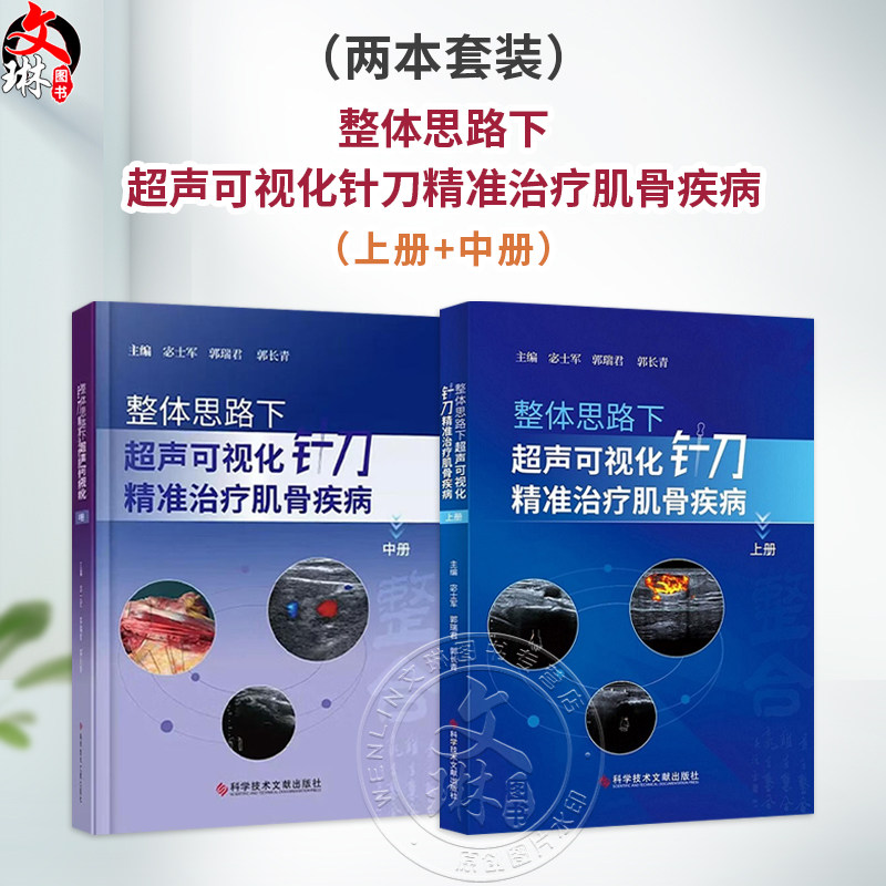 【全2册】整体思路下超声可视化针刀精准治疗肌骨疾病（上册+中册）2本套装 宓士军 郭瑞君 郭长青 超声学书籍 科学技术文献出版社