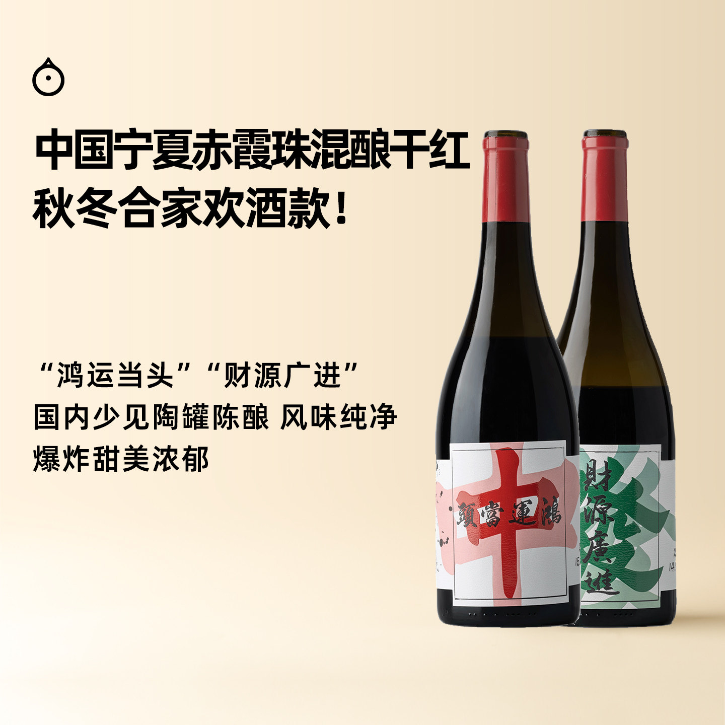 企鹅市集 宁夏天得龙驿陶罐陈酿赤霞珠梅洛混酿干红葡萄酒红酒