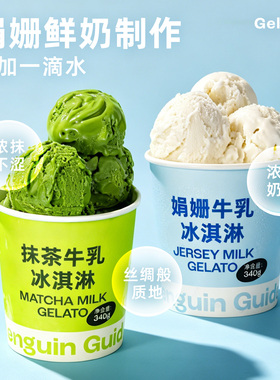 企鹅市集 娟姗牛乳冰淇淋 娟姗鲜牛奶娟姗奶油抹茶冰淇凌340g