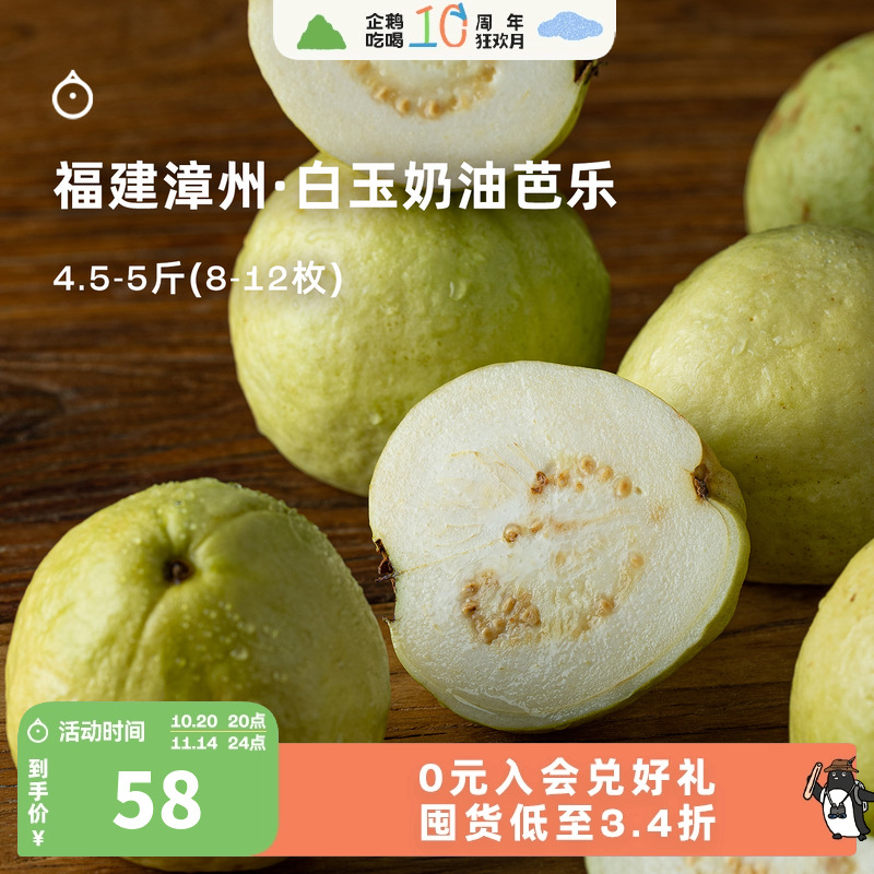 7天内发 企鹅市集 白玉奶油芭乐 福建漳州白心珍珠芭乐果番石榴
