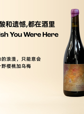 企鹅市集 南非Wish You Were Here愿你在此干红葡萄酒红酒