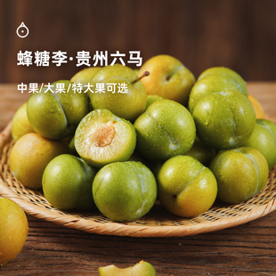 企鹅市集 蜂糖李 贵州六马蜂糖李子时令水果新鲜特产果园现摘