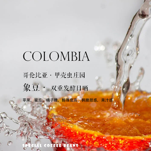咖啡豆下单烘焙 哥伦比亚Colombia甲壳虫庄园象豆双重发酵日晒