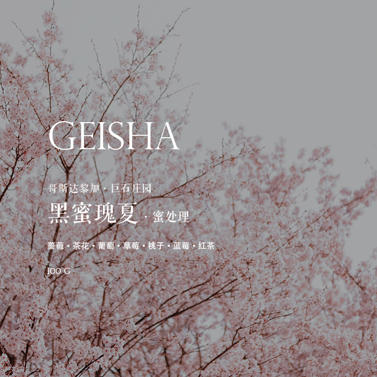 瑰夏哥斯达黎加巨石黑蜜Geisha