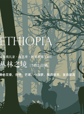 质能方程 咖啡豆埃塞俄比亚Ethiopia丛林之境 精致日晒YAYE 74112