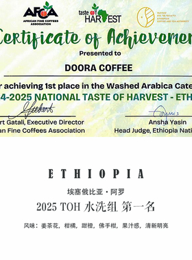 咖啡豆新鲜烘焙 埃塞俄比亚ALO 2025 TOH水洗组第一名 Ethiopia