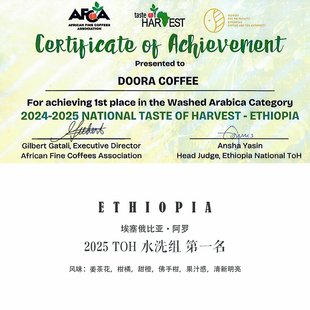 咖啡豆新鲜烘焙 埃塞俄比亚ALO 2025 TOH水洗组第一名 Ethiopia