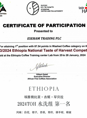 精品咖啡豆 埃塞俄比亚Ethiopia古姬罕贝拉2024 TOH水洗组 第一名