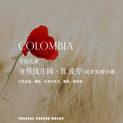 咖啡熟豆哥伦比亚分界线庄园日晒