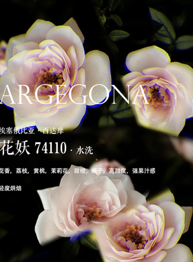 咖啡豆下单烘焙 埃塞俄比亚Ethiopia西达摩花妖74110水洗轻度烘焙