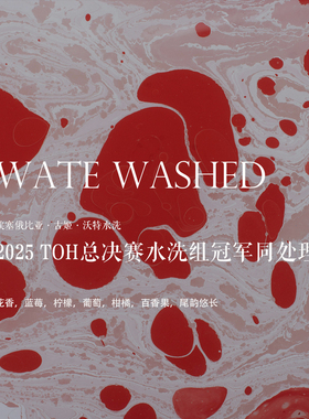 咖啡豆新鲜烘焙埃塞俄比亚Ethiopia 2025 TOH水洗组冠军同处理站