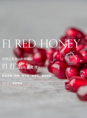 咖啡豆下单烘焙哥斯达黎加Costa Rica巨石庄园F1红蜜手冲轻度227g