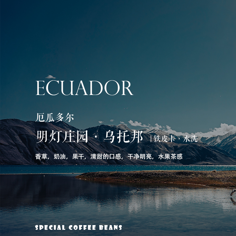 咖啡熟豆厄瓜多尔铁皮卡水洗轻度