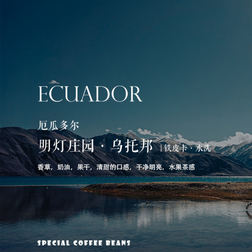 咖啡熟豆厄瓜多尔铁皮卡水洗轻度