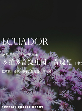 质能方程 咖啡豆厄瓜多尔多拉多富饶庄园黄瑰夏Yellow Geisha水洗