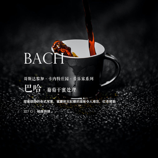 咖啡豆下单烘焙哥斯达黎加Costa Rica音乐家系列巴哈葡萄干蜜处理