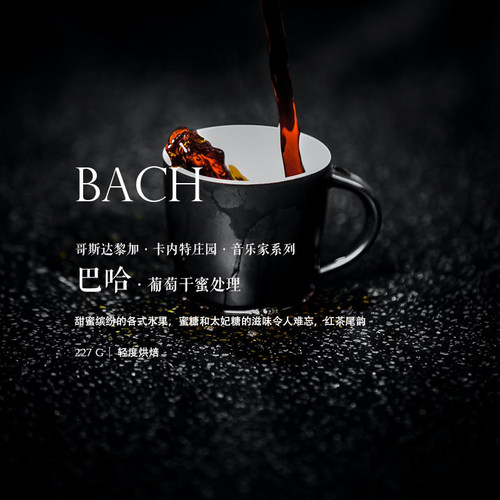 哥斯达黎加咖啡豆卡内特巴哈Bach