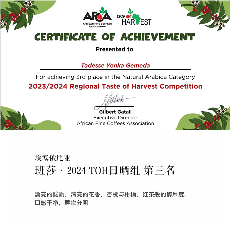 质能方程咖啡熟豆埃塞TOH第三名