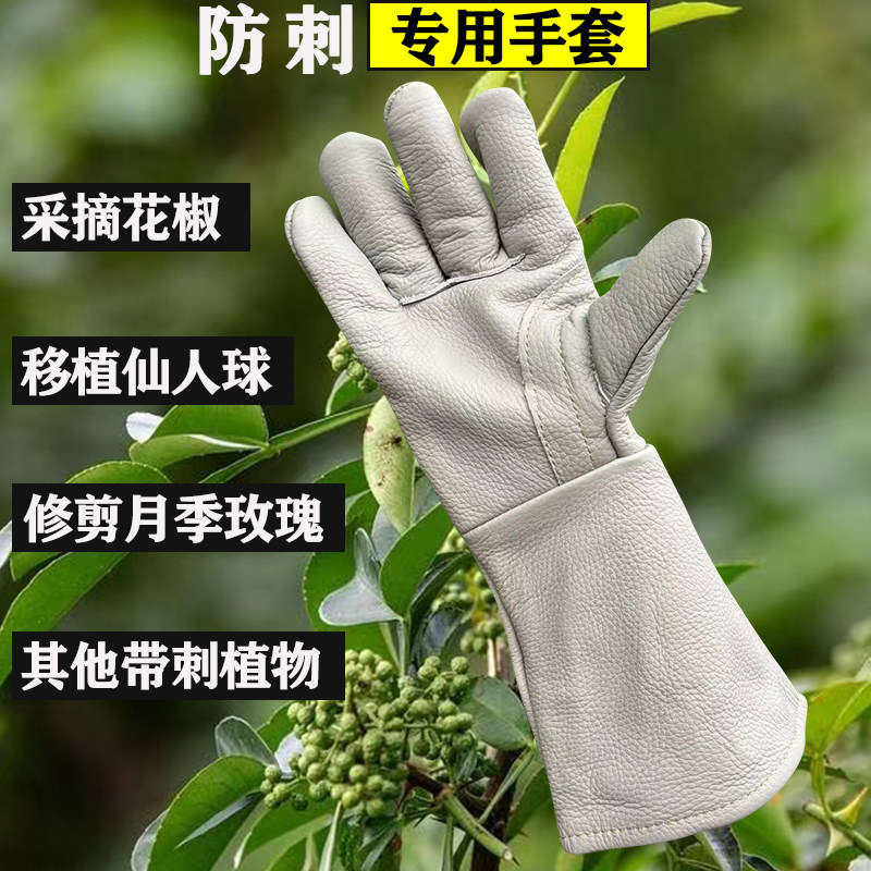 摘花椒修剪月季专用防刺手套加厚牛皮剥捡板栗移植仙人球掌防扎刺