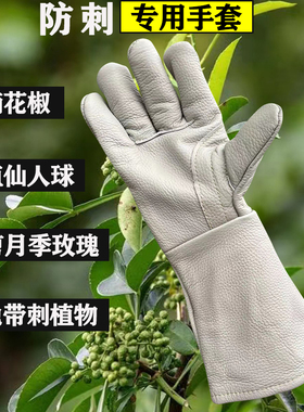 摘花椒修剪月季专用防刺手套加厚牛皮剥捡板栗移植仙人球掌防扎刺