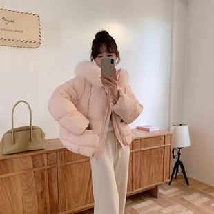 90白鸭绒小个子加厚保暖 狐狸大毛领羽绒服女短款 2025冬季 新款