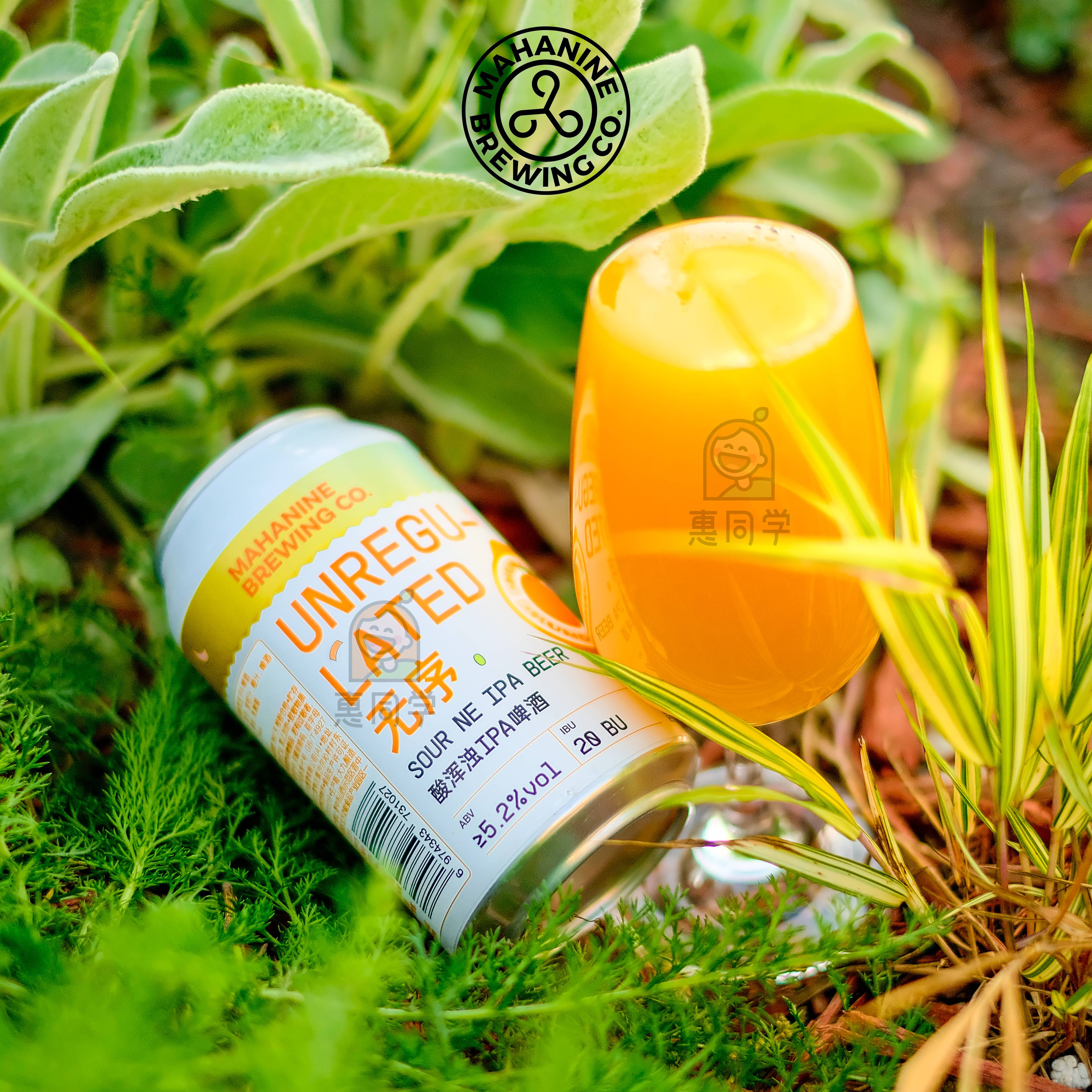 大九劝酒果子大国之花流体果泥