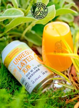 惠同学 大九 劝酒果子/无序/流体果泥/热带共和/西柚世界精酿啤酒