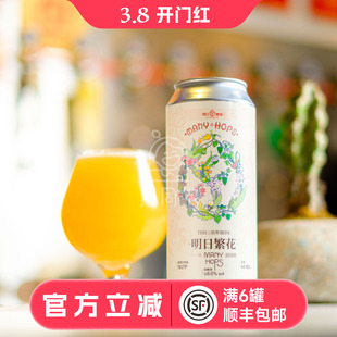 惠同学 明日酿造明日繁花TDH/全村的希望/火柴人长兴橘酒精酿啤酒
