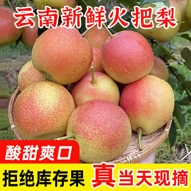 云南高原红梨火把梨酸甜味