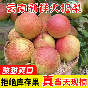 云南高原红梨火把梨酸甜味