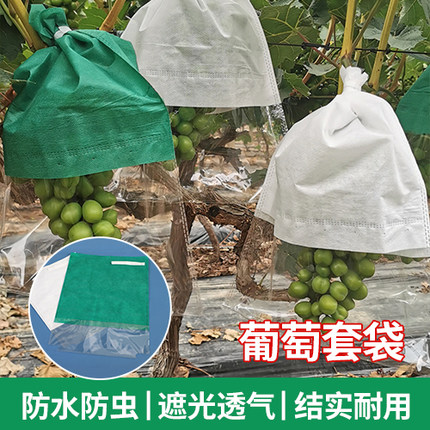 安徽玲鼎新型专利阳光玫瑰葡萄套袋妮娜皇后葡萄专用套袋防鸟防晒