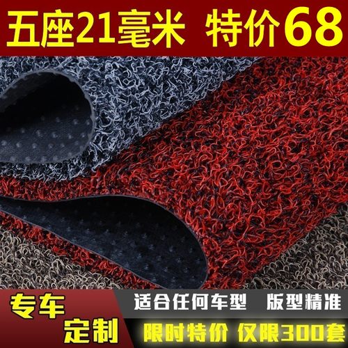 汽车丝圈脚垫比亚迪e5海豚元PLUS