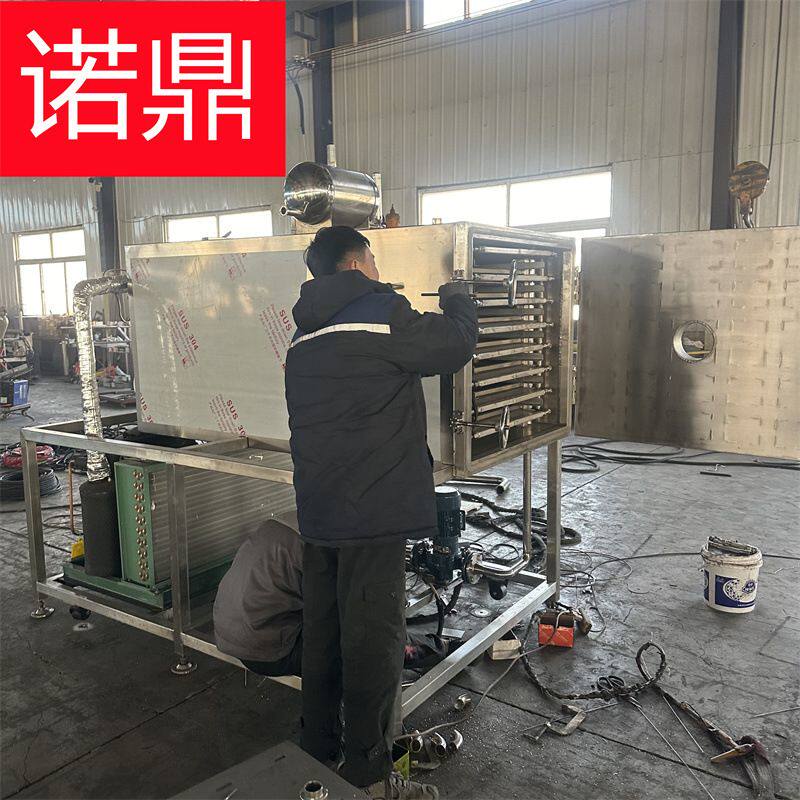 真空冻干机现货 10平方冻干机厂家 水果冻干机自动控温 实验型