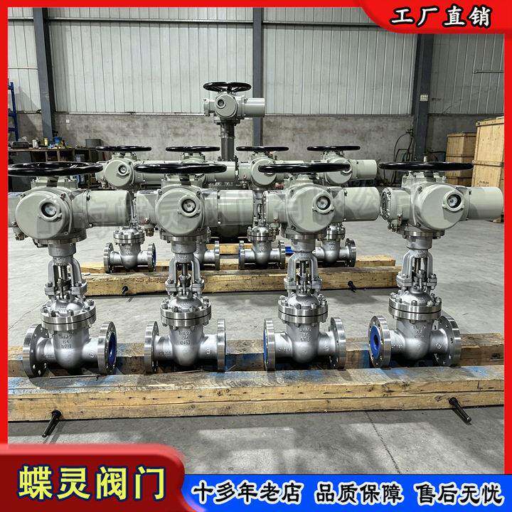 蝶灵Z941W-64RL DN65 不锈钢开关型电动闸阀 工业管路用