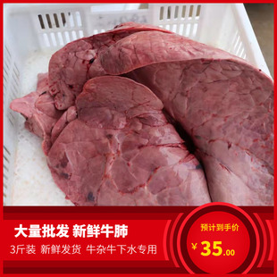 原味生牛雜 牛下水火鍋食材麻辣燙 本地新鮮黃牛牛肺三斤裝 牛副