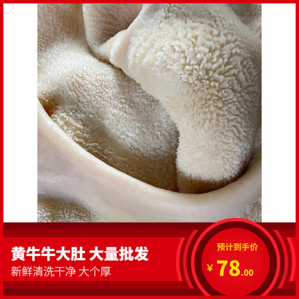 牛副 新鲜牛大肚蜂窝肚2斤干净无油 牛杂牛下水系列火锅烧烤食材