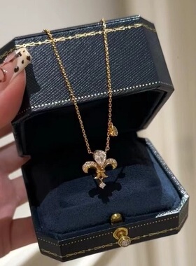 S925纯银项链中复古风碳钻拉丝鸢尾花推拉可伸缩轻奢高端小众级感