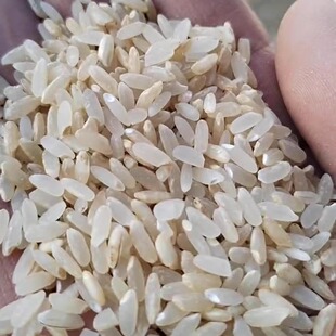 小磨房现磨有胚芽大米 会有碎半粒