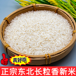 新加工鲜米长粒香大米自家黄豆蛋白肥种植十斤