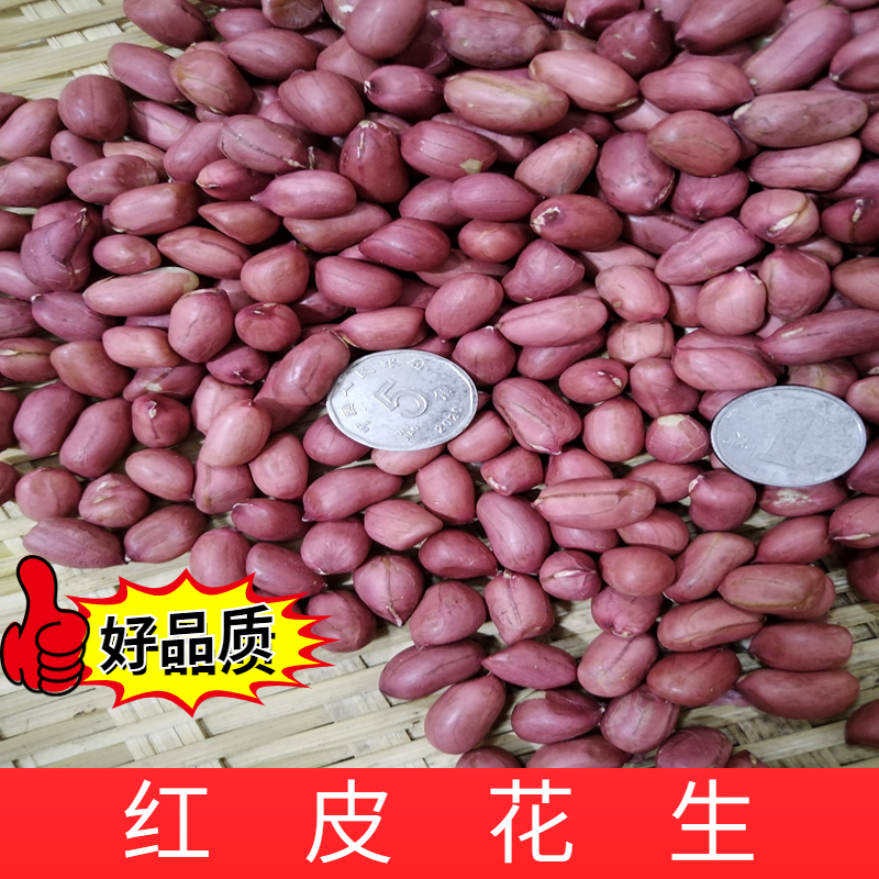 新货四粒红红皮花生颗粒饱满小粒生花生1250g/一袋 买两份减4元