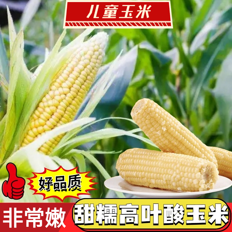 白色336新货高叶酸玉米大小混搭很甜微糯脆口无渣好吃