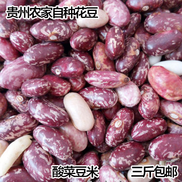 贵州特产农家自种四季豆 豆子豆米火锅花豆酸菜豆米花芸豆3斤包邮