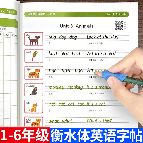 小学生衡水体英语单词练字帖同步