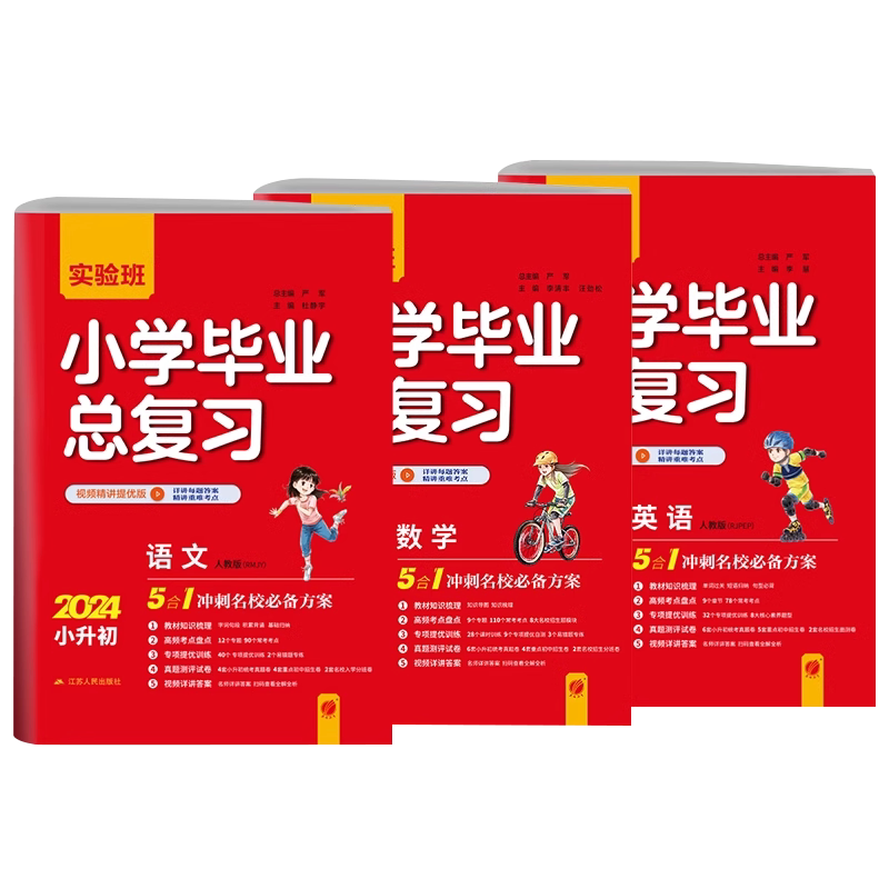 2025实验班小学毕业总复习小升初