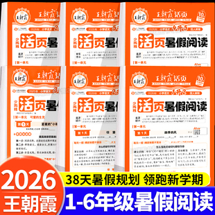 2026王朝霞暑假阅读一年级升二年级升三升四升五升六年级上册下册阅读理解专项训练书每日一练暑假衔接作业语文活页课外阅读人教版