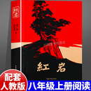 读物爱国主义教育现当代文学解放战争题材长篇小说畅销初中七八年级课外必读书籍 文学革命红色经典 红岩正版 原著八年级上册阅读经典